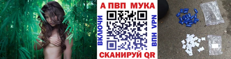 МЕФ Монино