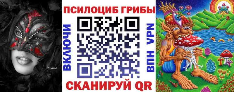 kraken как войти  Монино  Галлюциногенные грибы мицелий 